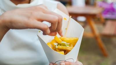 Your guide to Tampa Bay food fests