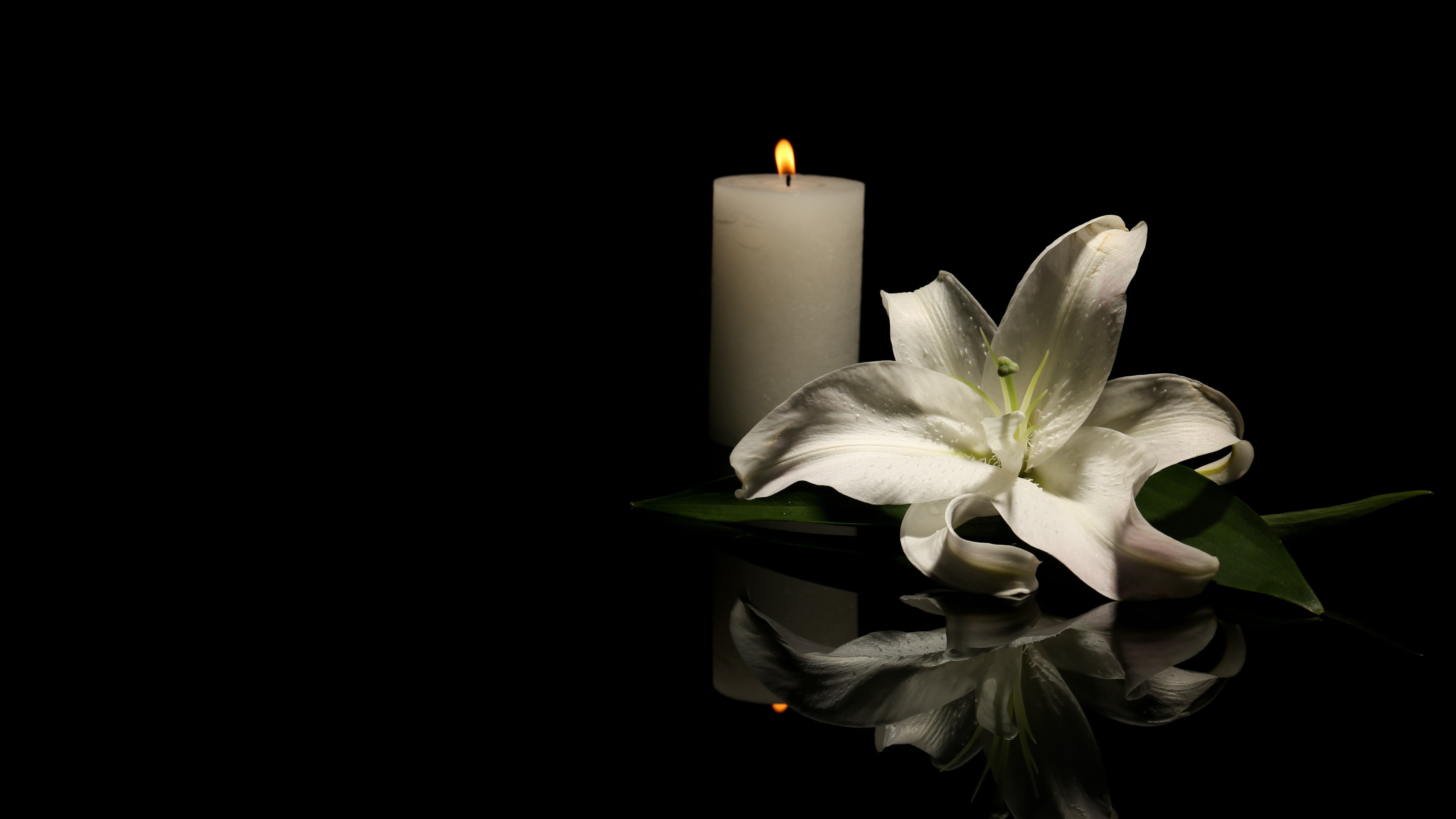 Beautiful lily and burning candle on dark background with space for text. Funeral flower