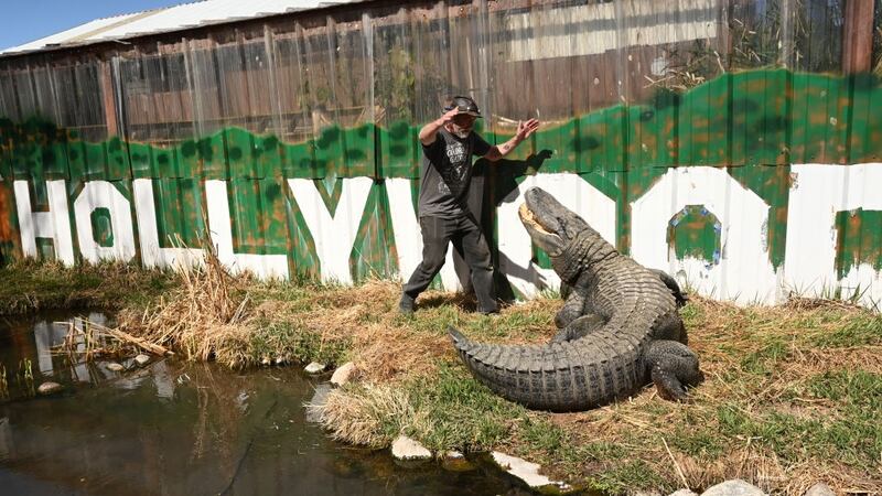 Jay Young and Morris the alligator