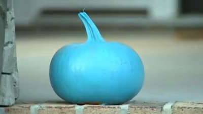 What Do Teal Pumpkins Mean? Here’s Why You’ll See Them on Halloween